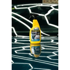 Rain-X Cerami-X Ext Detailer 750ml