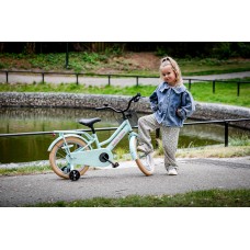 DutchFlavor Kinderfi. 16Inch Meisje DutchFlavor Kinderfi. 16Inch Meisje